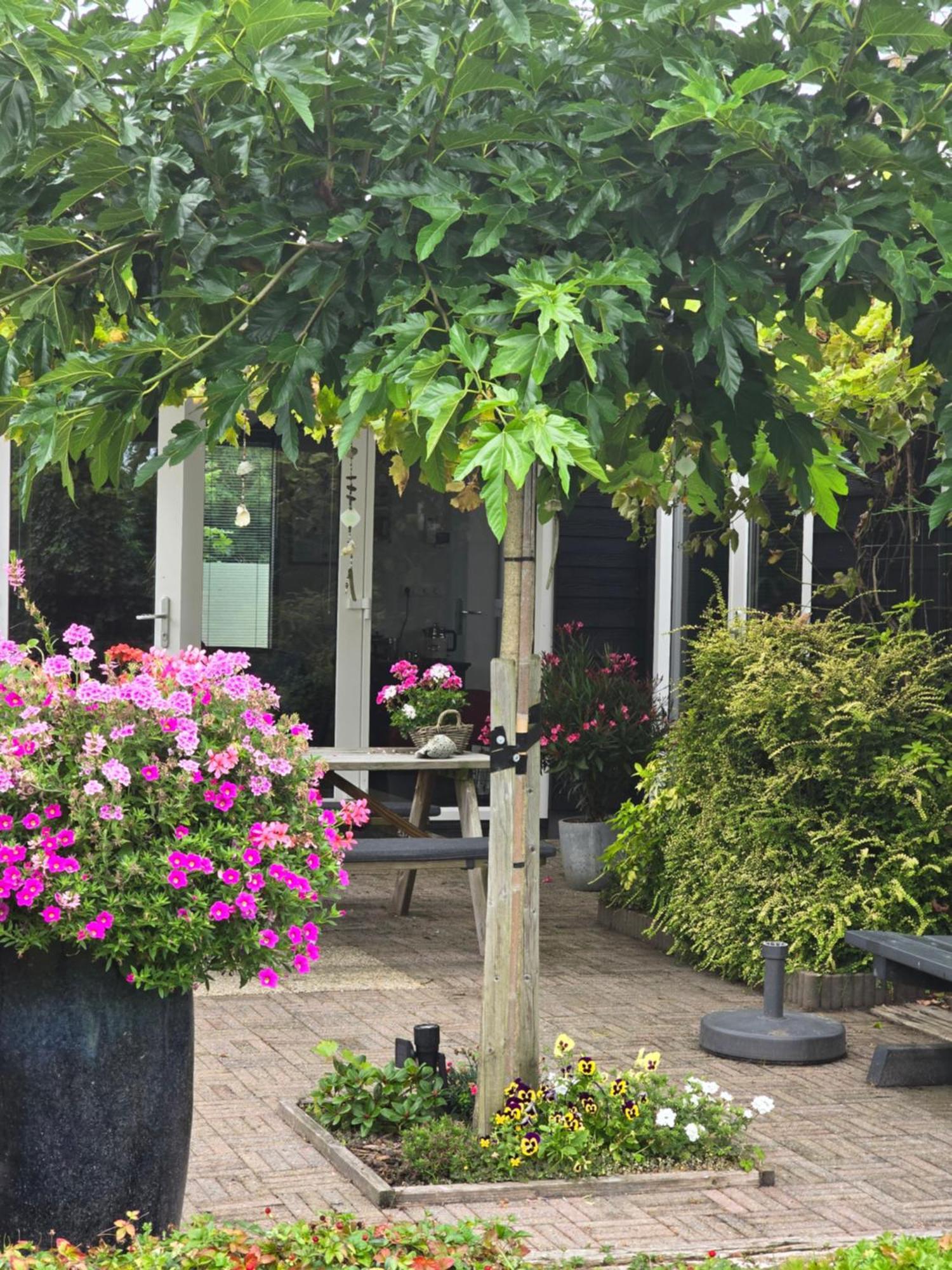 B&B Welkom Zierikzee Extérieur photo