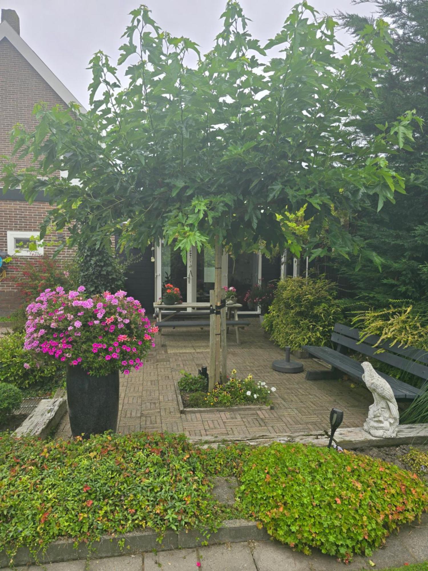 B&B Welkom Zierikzee Extérieur photo